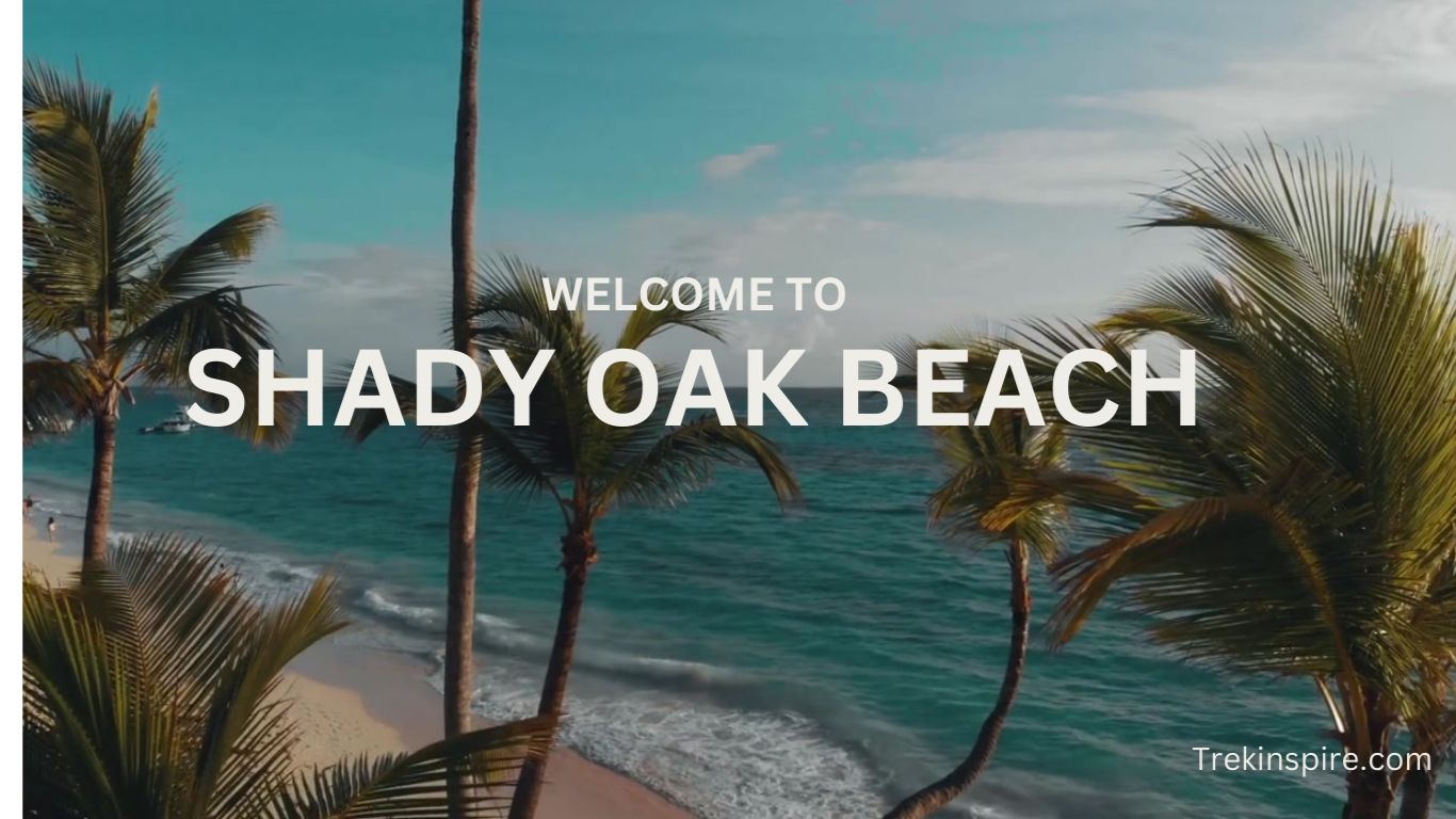 Shady Oak Beach 