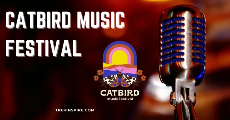 Catbird Music Festival: Jam bands, folk music artists, and indie performers