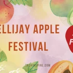 Ellijay Apple Festival