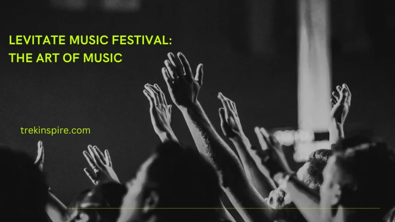 Levitate Music Festival: The Art of Music