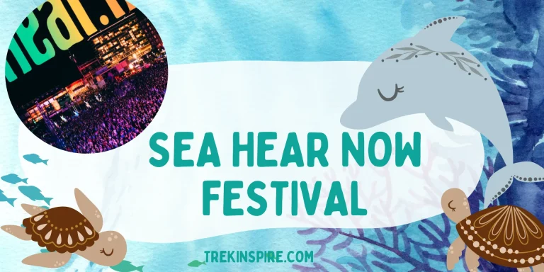 Sea Hear Now Festival: Sep 14 – 15, 2024