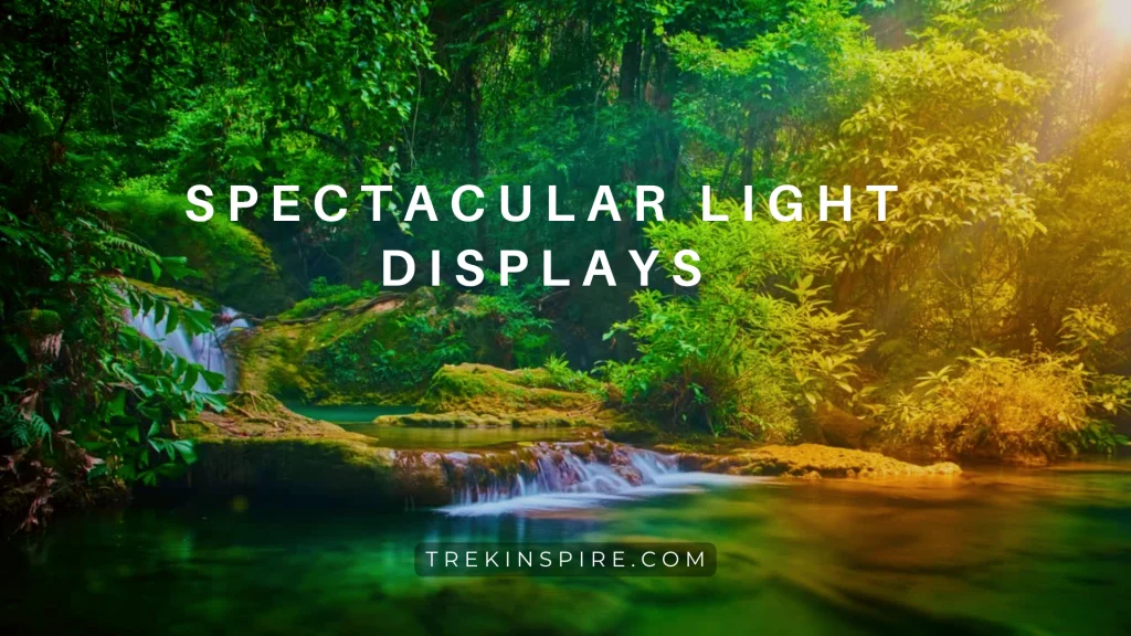 Spectacular Light Displays
