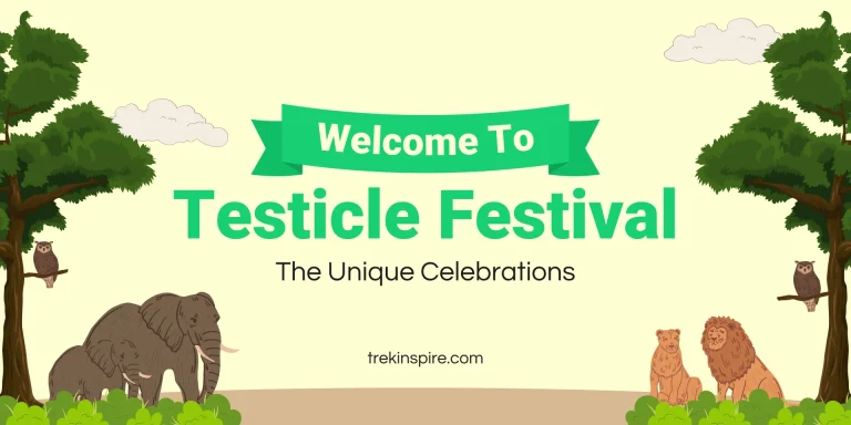 Testicle Festival: The Unique Celebrations