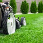 Creating a Lush Green Haven: The Importance of Lawn Care