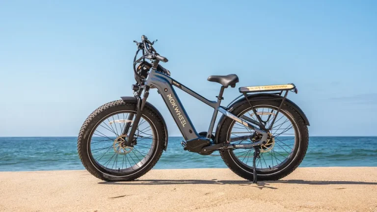 Elevate Your Outdoor Adventures with E-bikes