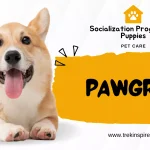 Pawgram Socialization Program for Puppies