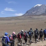 Ranking the Best Mount Kilimanjaro Tour Operators for Every Traveler From Budget to Luxury