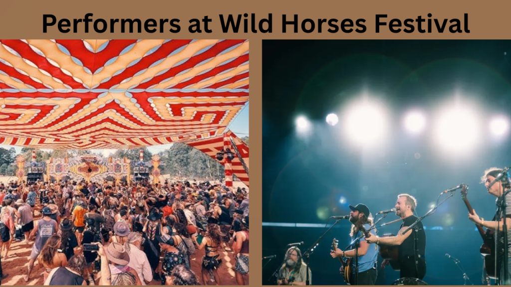 Performers at Wild Horses Festival