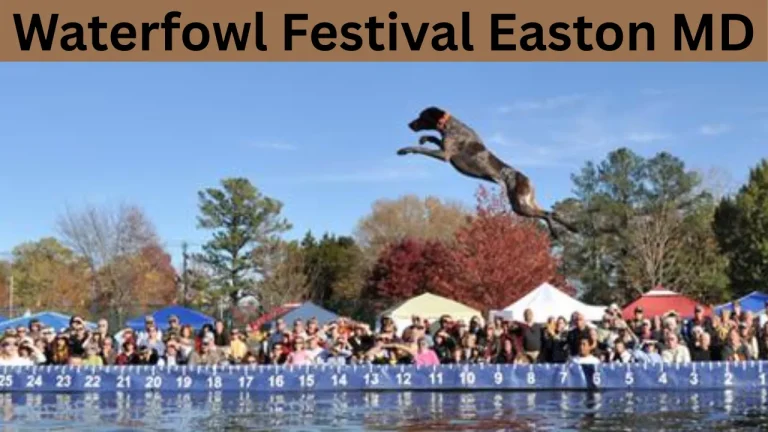 Waterfowl Festival Easton MD