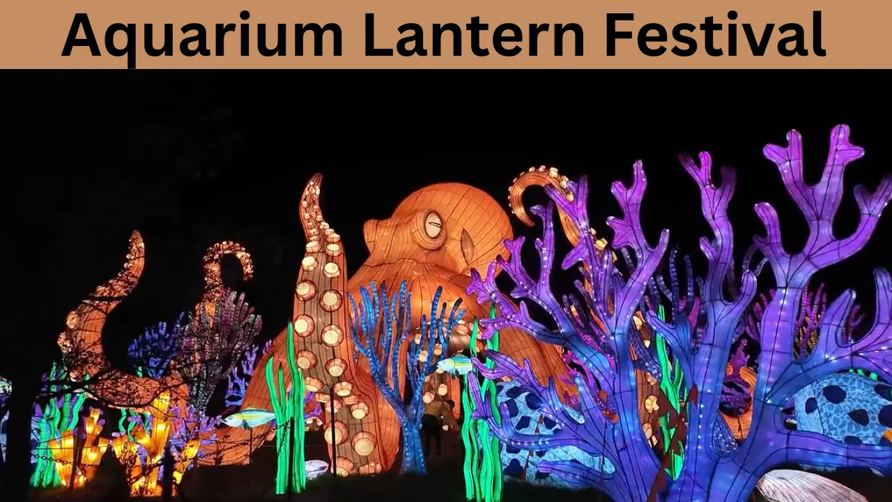 Aquarium Lantern Festival