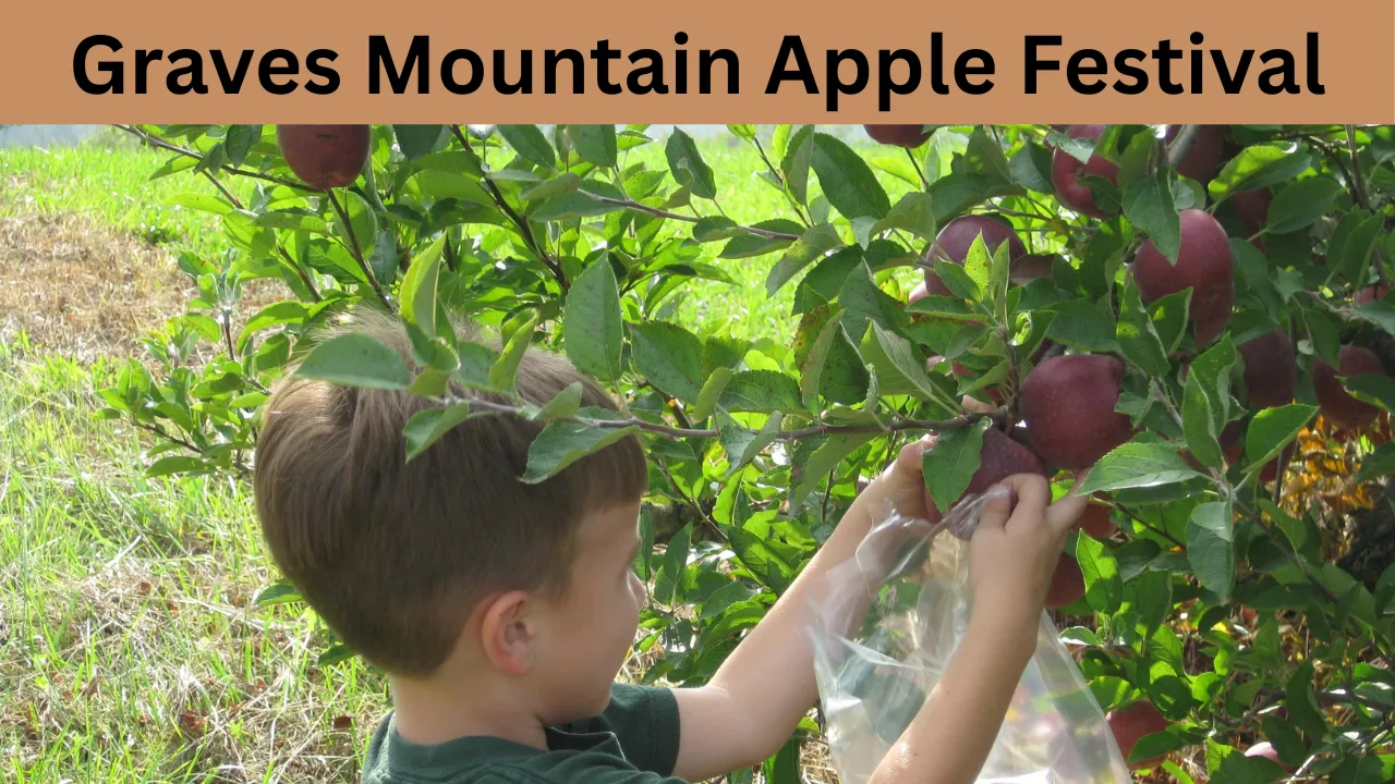 Graves Mountain Apple Festival