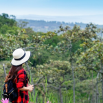 A Spring Travel Guide to South Africa