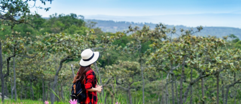 A Spring Travel Guide to South Africa