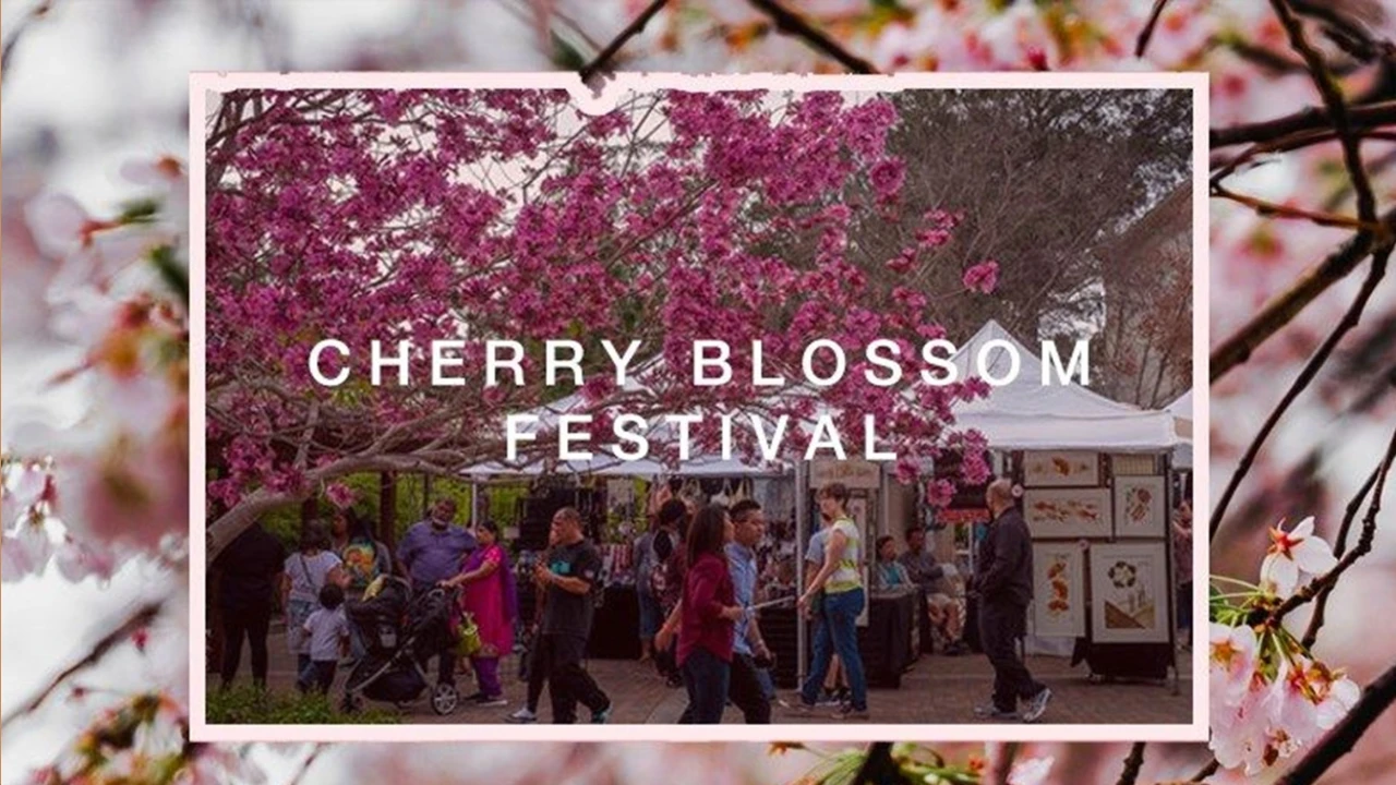Cherry Blossom Festival San Diego