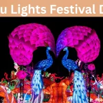 Tianyu Lights Festival Dallas