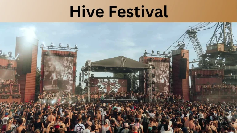 Hive Festival