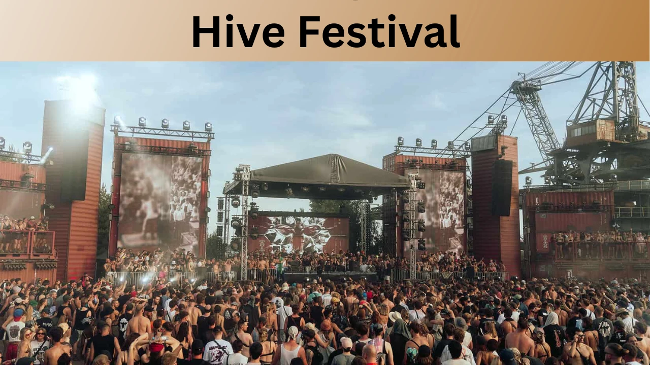 Hive Festival
