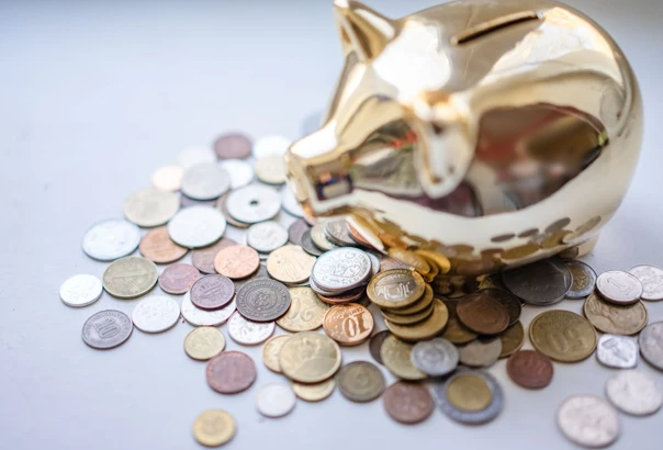 Term Deposits or Savings Accounts Which Suits You