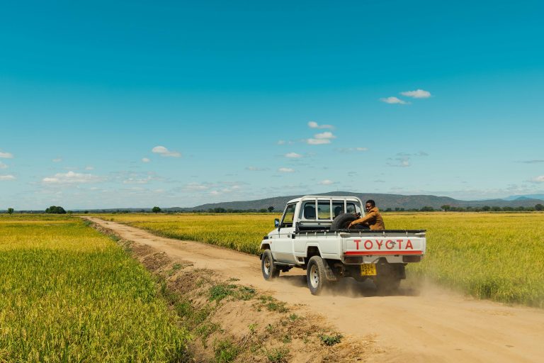 Why Self-Drive Trips in Uganda Are Cheaper Than Kenya and Tanzania