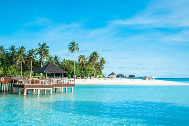 Why Oceanfront Vacations Rule 2024 Top Coastal Escapes