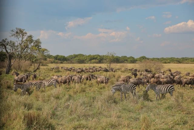 Looking at the East Africa Safari Highlights for 202627