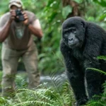 Rwanda Uganda Solo Travel and Gorilla Trek Guide