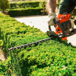 Trim Hedges in the UK